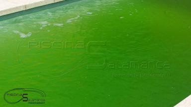 ¿Qué debo hacer si el agua de mi piscina está verde?     El agua puede estar verde por la presencia de algas.